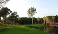 sueno pines golf course